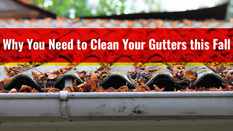Why You Need to Clean Your Gutters this Fall