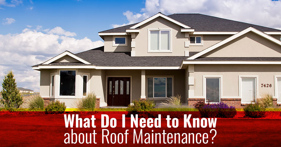 What Do I Need to Know about Roof Maintenance?